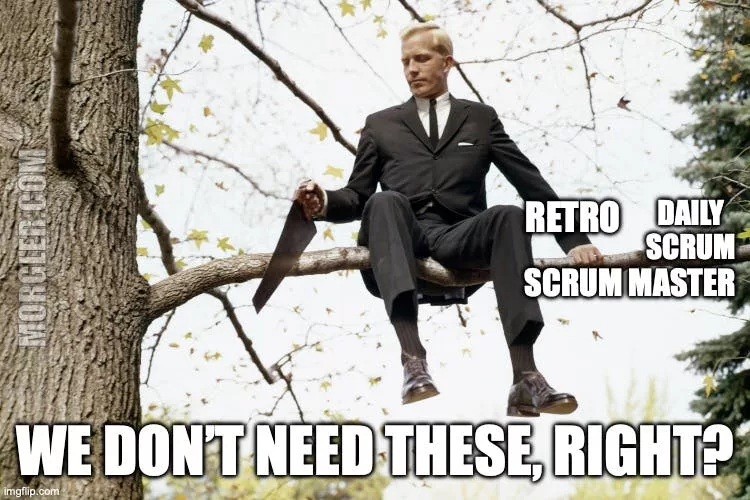 Cover for Is Scrum anti-agile because it can’t be changed?