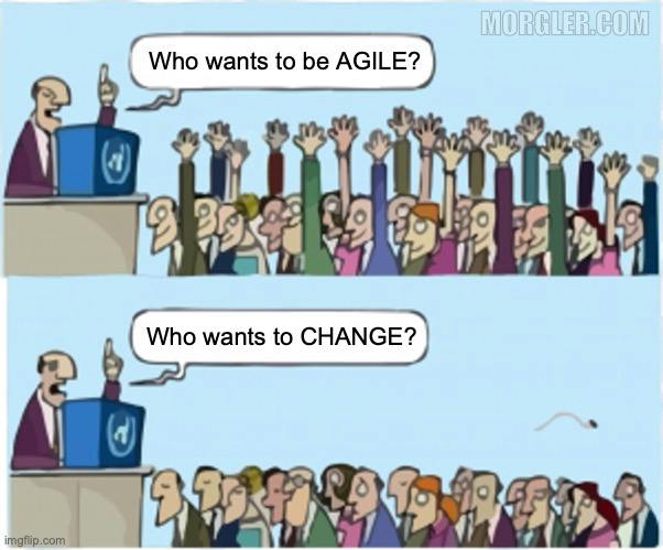 Cover for How to Overcome Resistance to Change in Agile Transformations